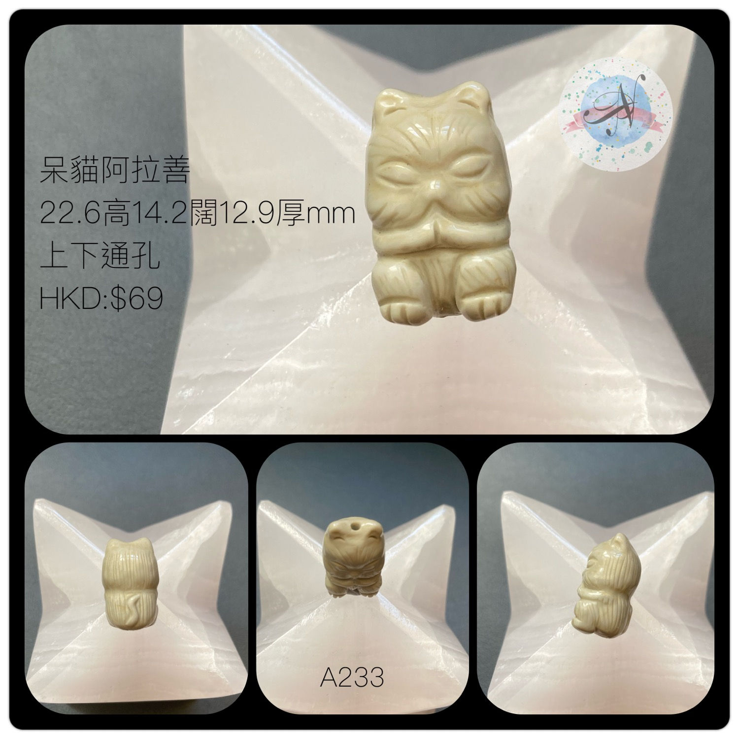 呆貓阿拉善