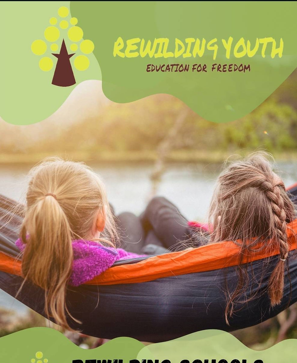  Booking Essential - Wild Child Forest Activities 