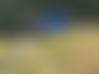 Can Static Stretching Prevent Injury?