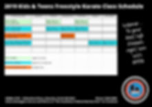 2019 KIDS AND TEENS FREE STYLE KARATE CL