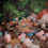 Thumbnail: Multi-Layer Pumpkin Fridge Magnet
