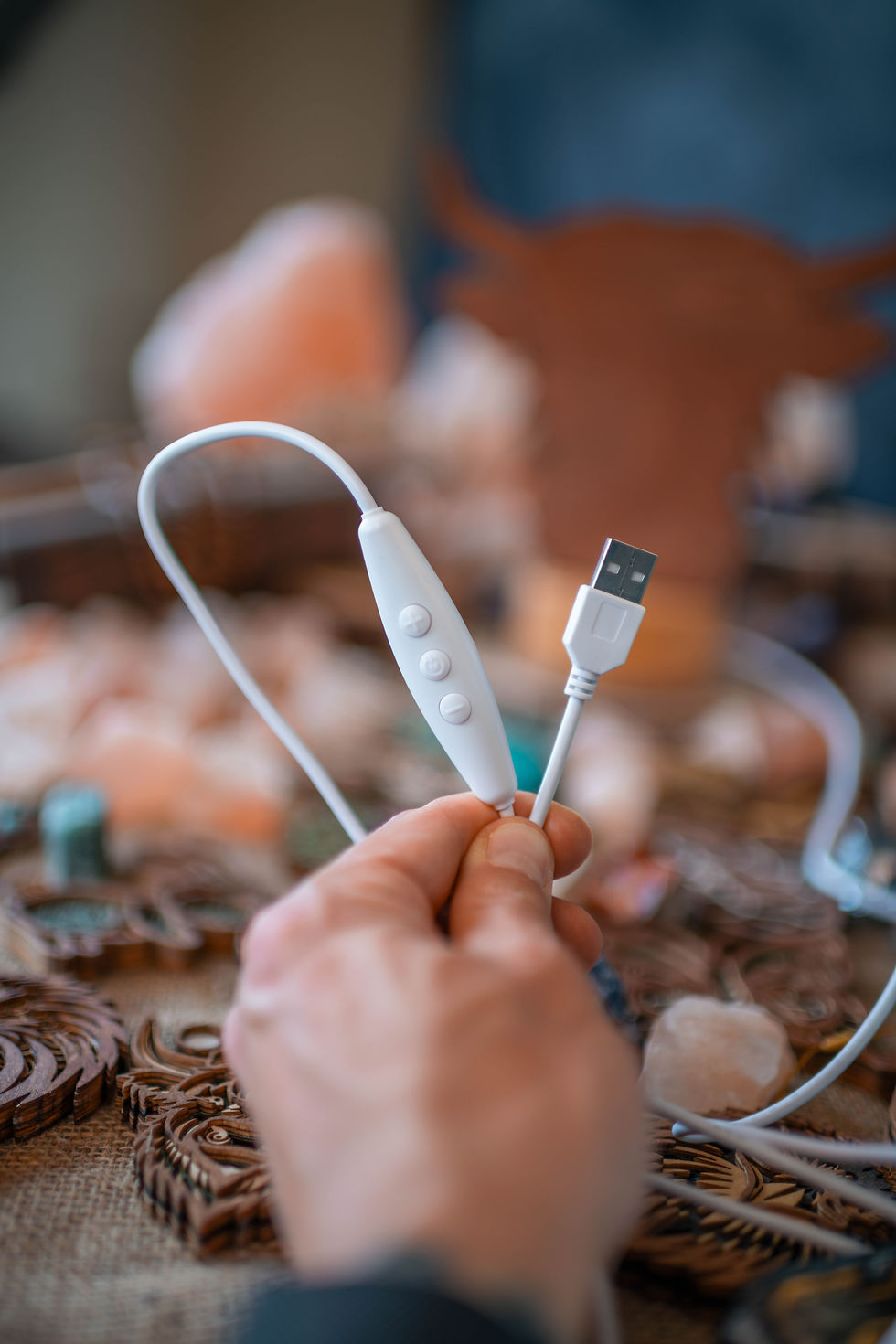 Thumbnail: Hand holds white USB cable with control panel