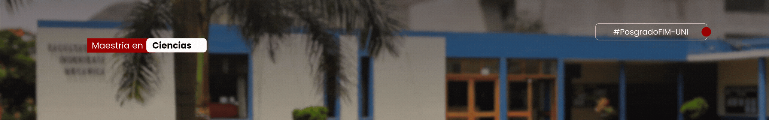 banners pagina maestrias (10).gif