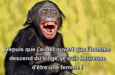 mini-L-homme-descends-du-singe.jpg