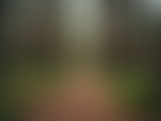 Finding Rewarding Environmental Jobs in Arizona Green Careers