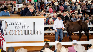 Return to the Remuda!