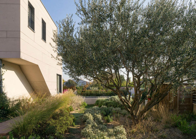 jardin sec jardin paysager jardin naturaliste architecte paysagiste conception de jardin