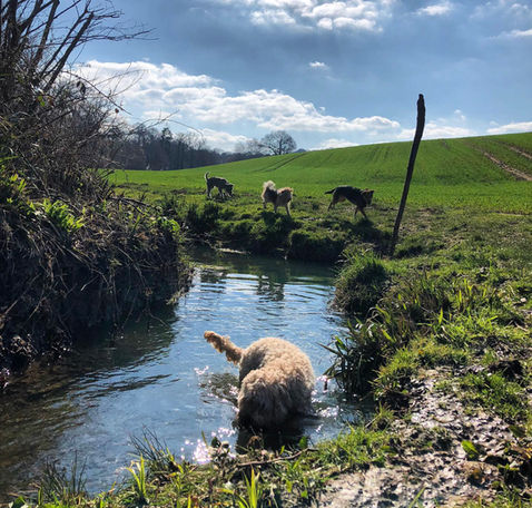 stream and blue skies