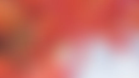 臨時休業のお知らせ