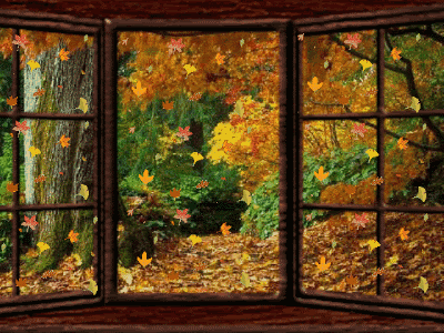 hojas+otoño+autumn_leaves+10.gif