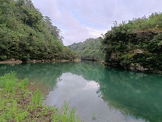 IMG20240129062411.jpg