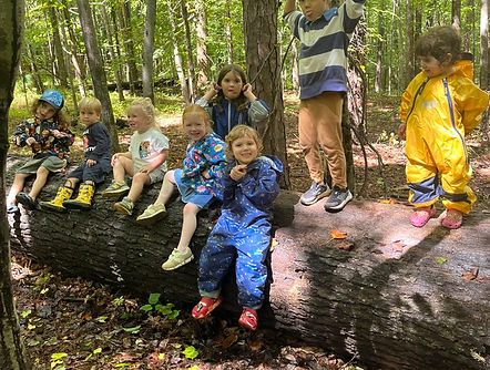 International Montessori Stem Academy