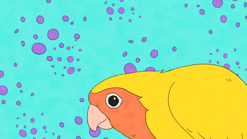 20220402-hyper-parrot