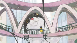 20220305-HK-cat_edited