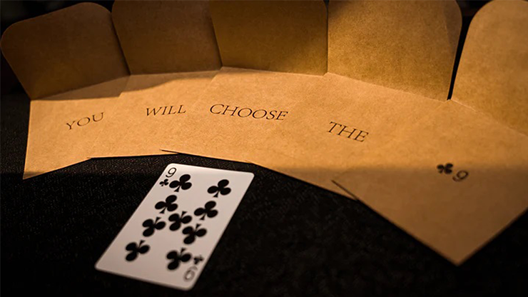 Miniatura: Schrödinger's Envelopes