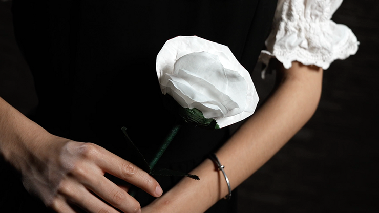 Miniatura: Fantasy Rose by Leon, Bond Lee & MS Magic