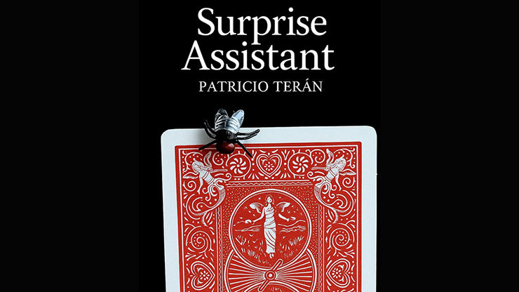 Surprise Assistant by Patricio Teran video