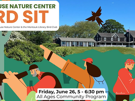 Bird Sit at Third House - All Ages Birdwatching Program