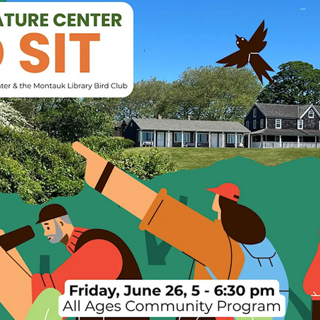 Bird Sit at Third House - All Ages Birdwatching Program