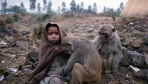 گردم مه تابان تو