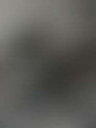 Archivi Bruciati e Note Perdute: Le esibizioni di Sanremo diventate "Lost Media"