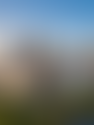 Architettura del Suono: I 5 Posti più Incredibili per Ascoltare Musica Live