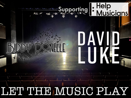 Let The Music Play - Raising Funds for Help Musicians by Biddy Ronelle & David Luke
