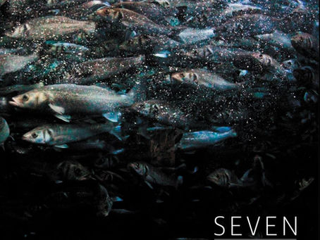 First Thoughts Review: 'Seven' An Album by Alf Hale