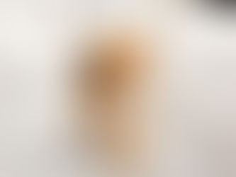 When Did Owning a Dog Become This Expensive?