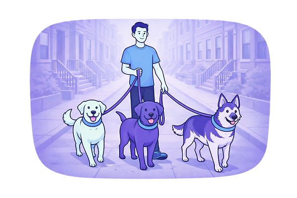 Fetch dog walker walking a small group of dogs, showing safe, consistent, and caring group walks.