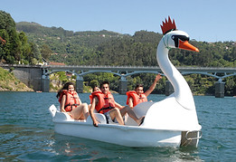 gaivota.jpg