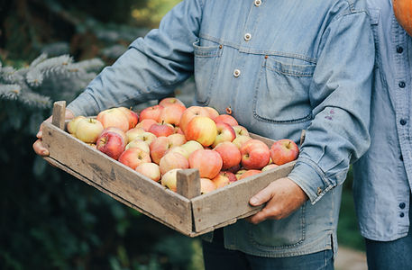 World-Leading Food Safety.jpg