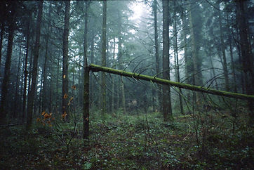 img247-2.jpg