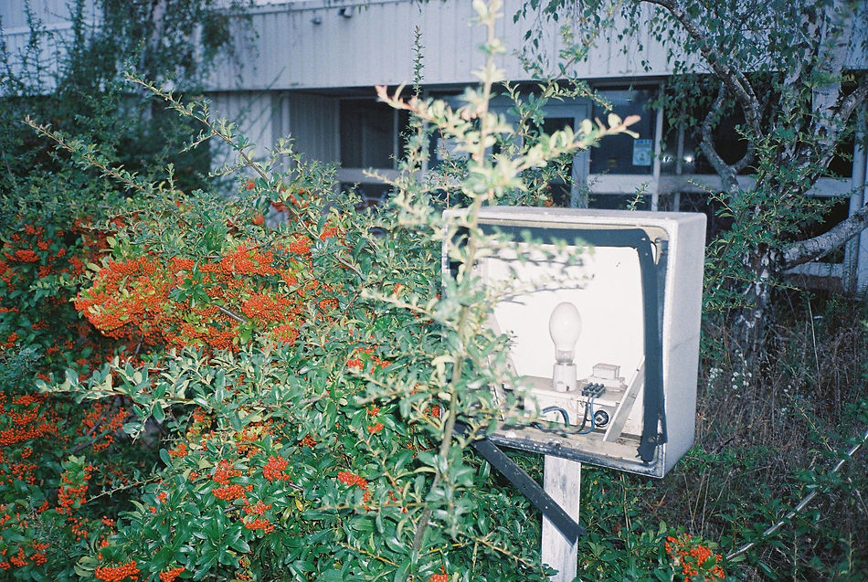 000023.JPG