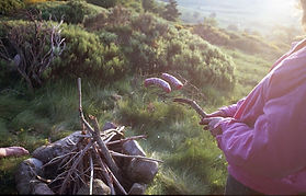 img271.jpg