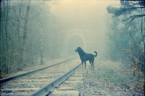 Untitled (3).jpg