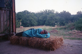 img430.jpg