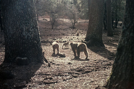 Image (15)-3.jpg