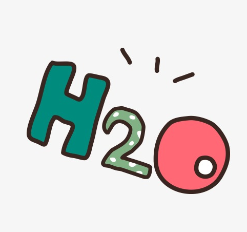 H20