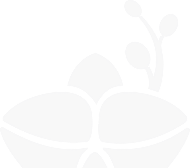 AC-Logo-Tint_edited_edited.png