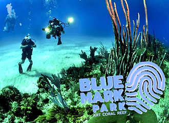 BLUE MARK PARK by AB