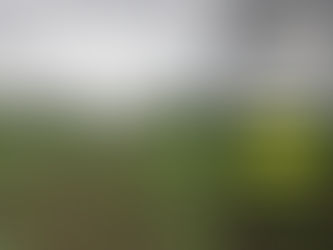 Caught in climate extremes: The dilemma North Karnataka's farmers face