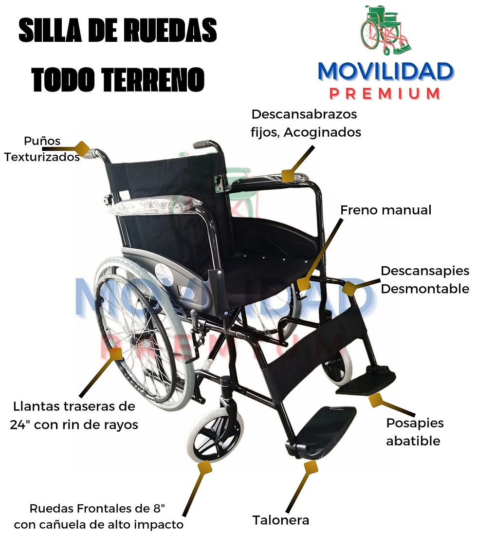 Miniatura: Silla de ruedas todo terreno Movilidad Premium 