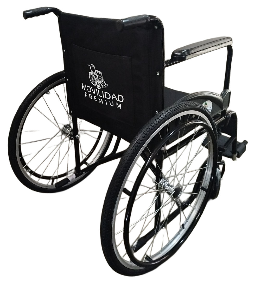 Miniatura: Silla de ruedas Todo terreno básica por volumen 