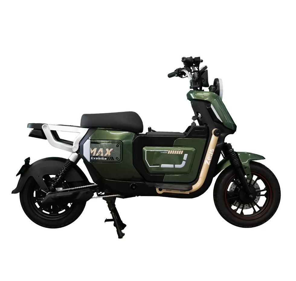 Miniatura: Bicicleta Eléctrica ZEUS