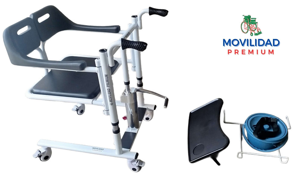 Miniatura: Silla de Transferencia 