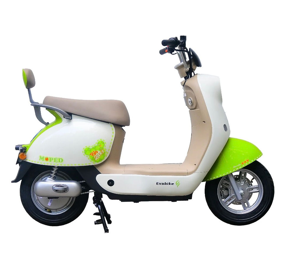 Miniatura: Bicicleta eléctrica MOPED