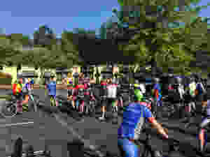 File May 03, 2 01 53 PM.jpeg