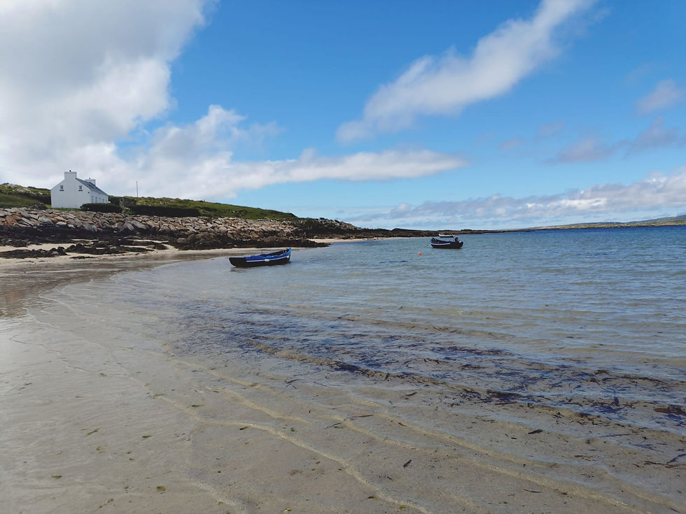 Moyrus Beach, Connemara: Coastwatch Survey Training