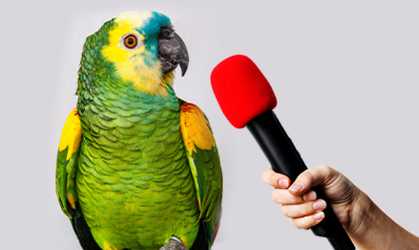 Parrot.png